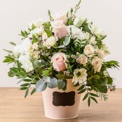 Dawn's Planter